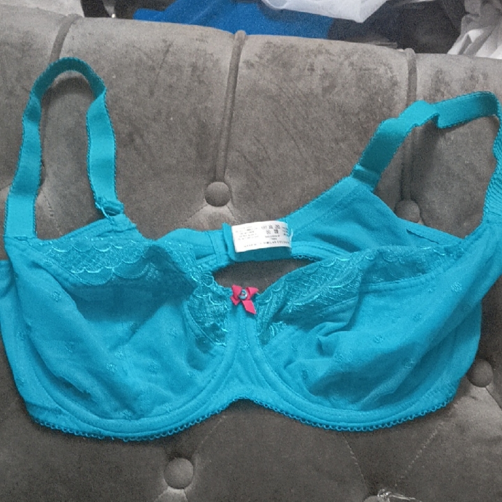 Cleo Teal Lace Bra with Pink Accent